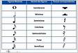 Símbolos Musicais e seus Significados notas, claves, pausas e